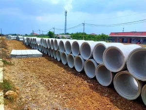 481168841_1098528315408175_7312447126908200135_n