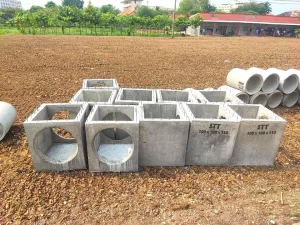 481468624_1098528232074850_3138443563121300235_n