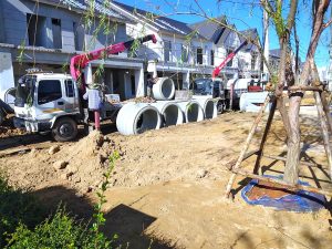 485698532_3089279667896523_7429483394574841292_n