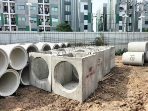 512338217_1184144353513237_607194511101112135_n