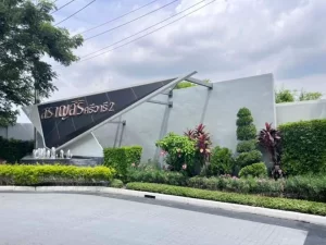 528153765_1216519713609034_7435347859734044385_n