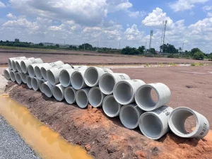 528749213_1218782973382708_4183982614277177419_n