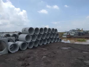 528800579_1218782253382780_7115315006959300611_n