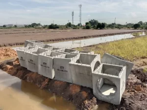 529367843_1218781963382809_3939000337417526826_n