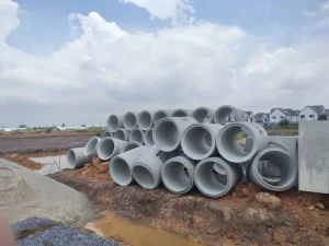 529389713_1218782236716115_1835109523751718314_n